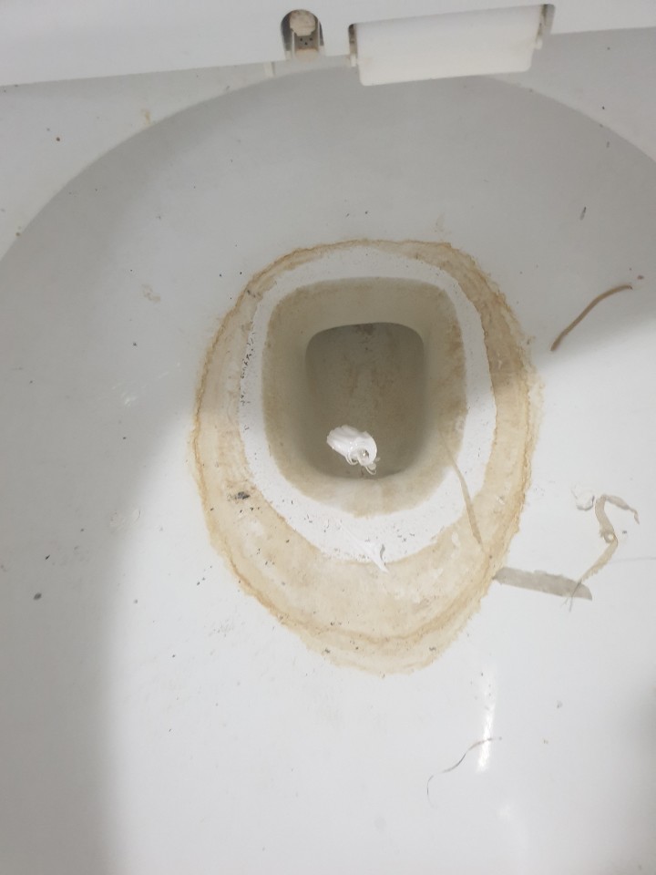 0ef08d81d171e1c4eec43a319c59980a_1597825100_578.jpg